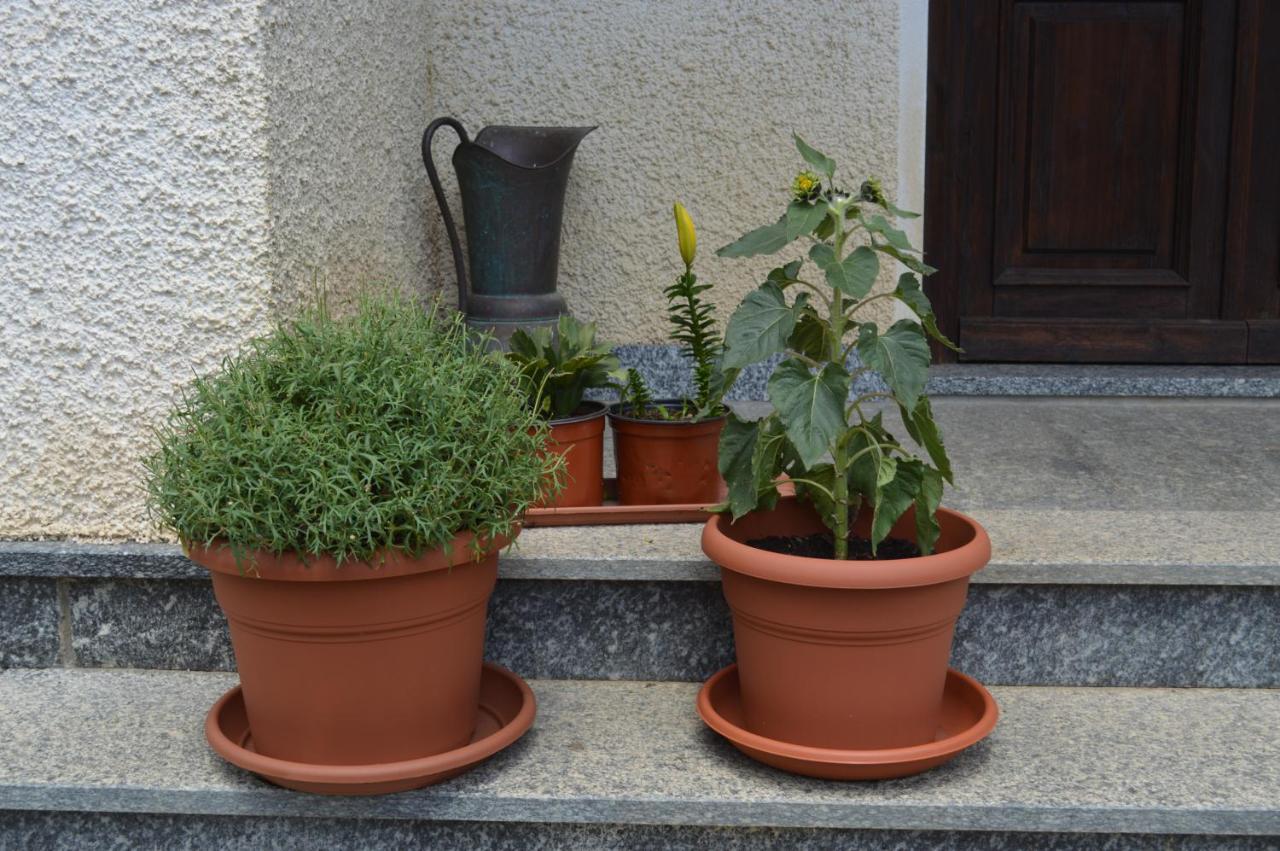 Da Fulvia Bed & Breakfast Ollano Exterior photo